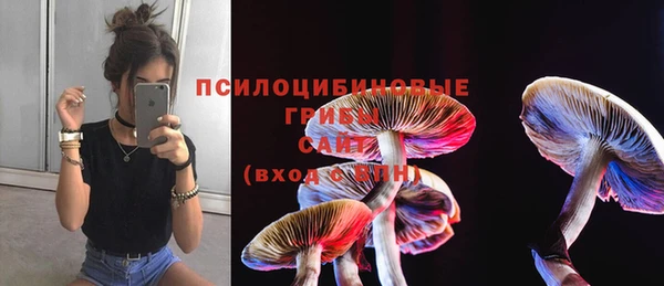 винт Липки